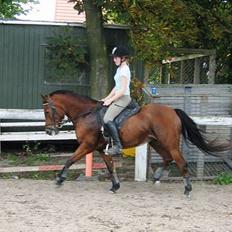 Anden særlig race Kit