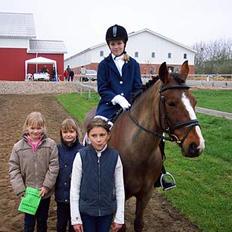 DSP Aavangs Robin *Solgt*