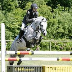 Anden særlig race Romeo (solgt)