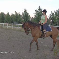 Traver ego kongshøj DØD SNØFT