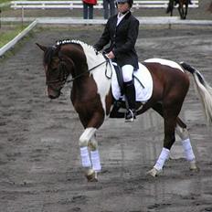 Pinto Exitta <3 R.I.P