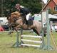 Welsh Cob (sec D) Hatting Kiss
