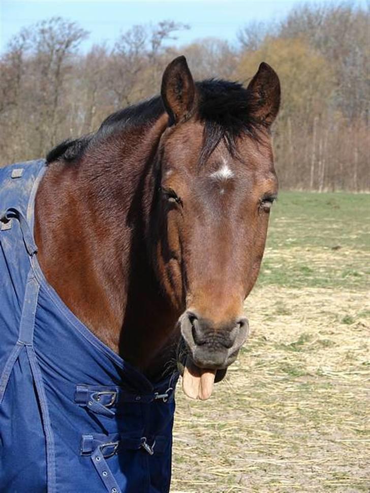 Anden særlig race Kit - Jeg vil altid elske dig, for den du er. billede 1