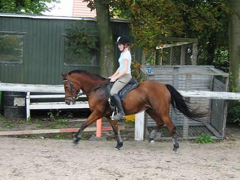 Anden særlig race Kit - d. 17/9-06 Foto : Annika M billede 3