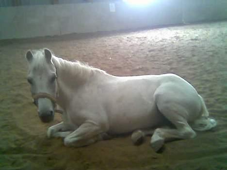 Anden særlig race Cassiopeia -Død /:  - tid til at slappe af.  billede 4