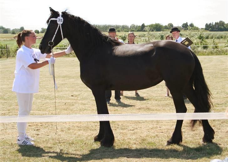 Frieser Ingrid - Kåring 2006, her er dommerne igang med at bedømme billede 6