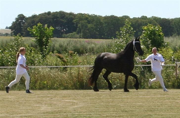 Frieser Ingrid - Kåring 2006, Første travrunden billede 7