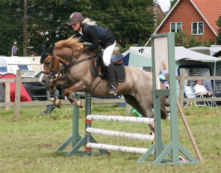 Welsh Cob (sec D) Hatting Kiss - Hammerum Pony Uge 2007 billede 1