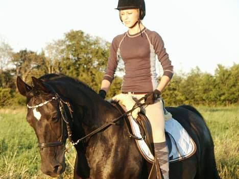 Dansk Varmblod Søholms Halina "OBS. STJÅLET" !! - Min lille hypper ,  billede 7