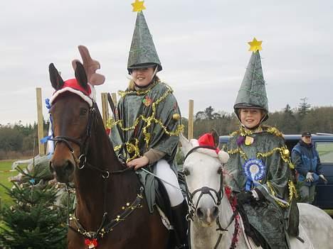 Anden særlig race Romeo (solgt) - team Romana forklædt som hotte juletræer til stævne på Kongelunden! billede 9