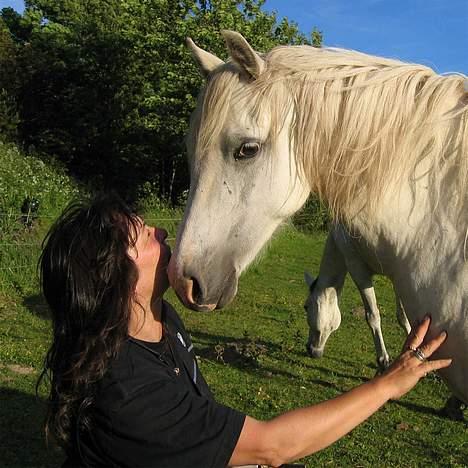 Welsh Pony (sec B) Korreborg's Gazella død - Zella og min mor sommer 2005 billede 12