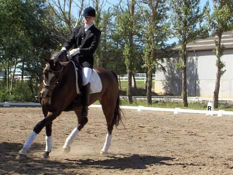 Dansk Varmblod Dinétt Stengaard *SOLGT* - Dinett og jeg. Jysk rideuge 2006. LA1 billede 9