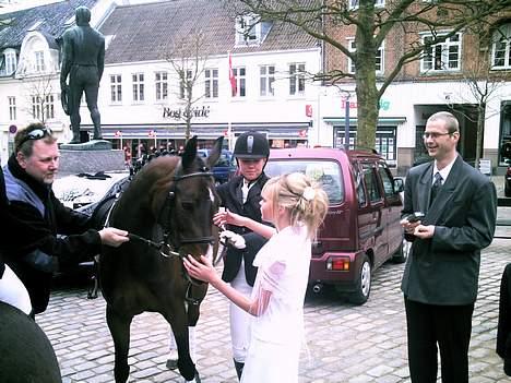 Trakehner Maybe (solgt) - . Billede fra min konfirmation hvor hun er pyntet fint.. (mig i det hvide tøj :D) billede 6