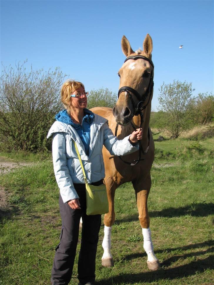 Palomino Østrupgårds Girlpower - Mor og Gurli billede 6