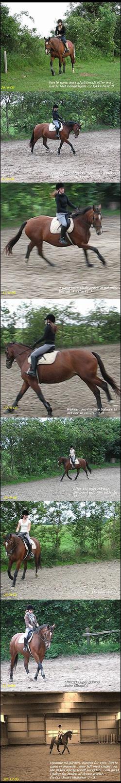 Oldenborg Fie <33 † - Løbende billeder fra tilridning og til nu <3 Flere vil blive sat på samt tekst <3  2006 billede 11