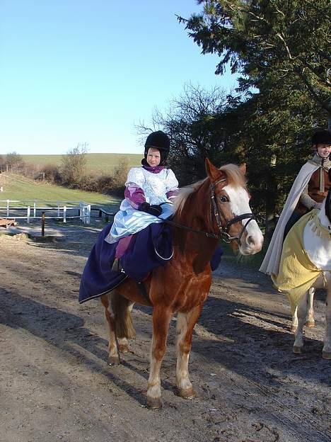 Anden særlig race | Jambo *Solgt* - *9* Her er han sammen med min lillesøster til fastelavn... (Hun har springvest inden under kjolen, det er derfor at hun ser lidt tyk ud) :) Foto: Min mor billede 9