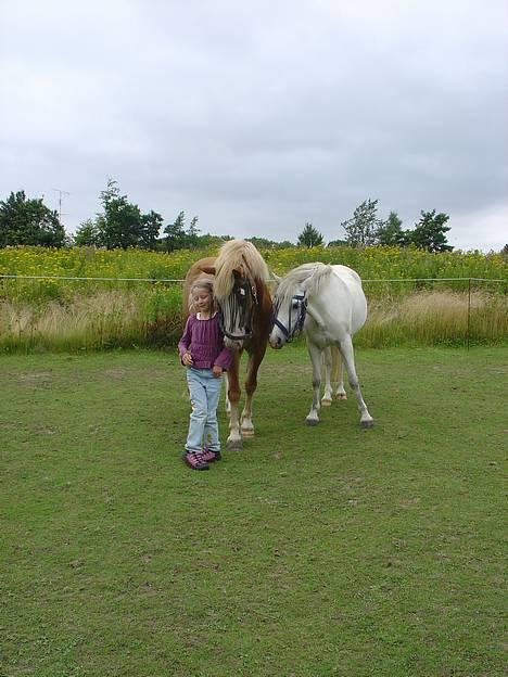 Anden særlig race | Jambo *Solgt* - *14* Jambo og Lavita på fold. Foto: Min mor billede 14