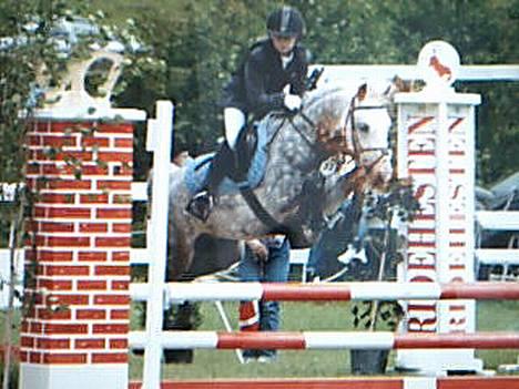 Anden særlig race Romeo (solgt) - DM ponyspringning 2004 billede 18