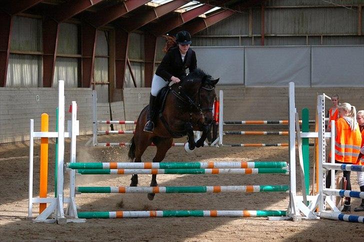 Traver Julius R.I.P :'( billede 9