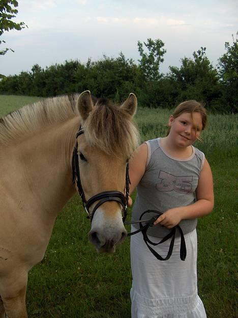 Fjordhest Daniel Halsnæs - Mig og Daniel billede 1