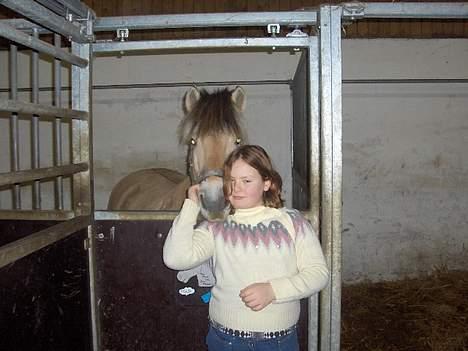 Fjordhest Daniel Halsnæs - Her har jeg lige fået min dejlige pony i julegave =D billede 3