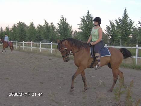 Traver ego kongshøj DØD SNØFT - ude og træne dagen efter vi har fået undervisning det var sjovt  billede 2