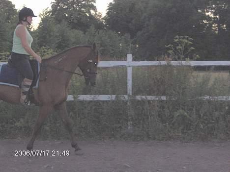 Traver ego kongshøj DØD SNØFT - søger men driller hehe smil billede 4