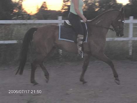 Traver ego kongshøj DØD SNØFT - kom lidt længere ned hehe og fik samledet mine ben lidt men det gik hurtigt over hehe billede 5