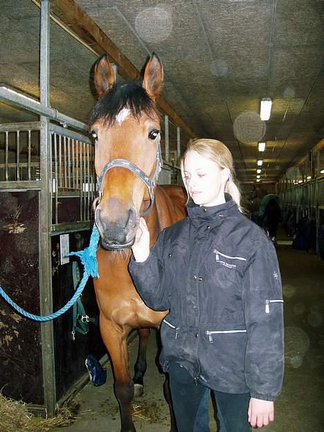 Holstener Matell - Havde lige fået ham <3 billede 14