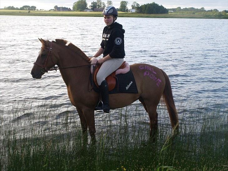 New Forest ATHENA - vi lærte hinanden alt - du er den der kan få smilet frem på en regnvejrs dag med dine små vrinsk du altid kommer med når du ser en. billede 7