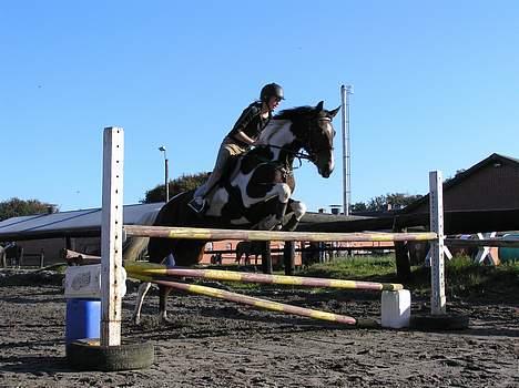 Pinto Exitta <3 R.I.P -   <3333 billede 1