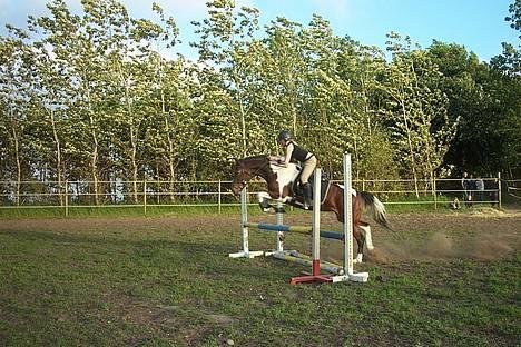 Pinto Exitta <3 R.I.P - <33 billede 3