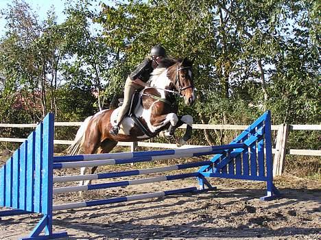 Pinto Exitta <3 R.I.P - <3 billede 4