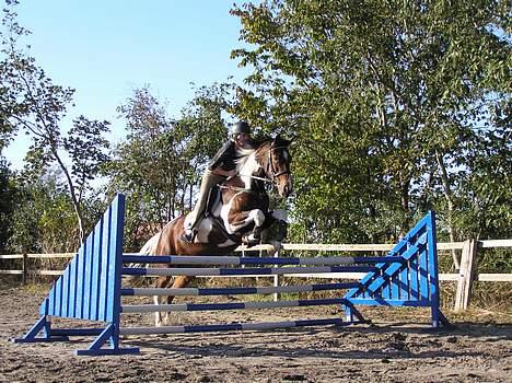 Pinto Exitta <3 R.I.P - <3 billede 5