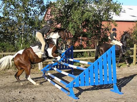 Pinto Exitta <3 R.I.P - <3 billede 6