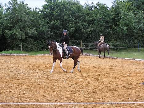 Pinto Exitta <3 R.I.P - <3 billede 7