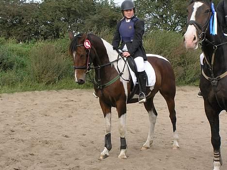 Pinto Exitta <3 R.I.P - klubstævne, første i en cl i spring (: billede 11