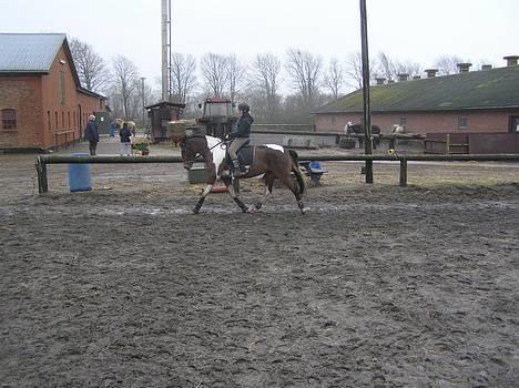 Pinto Exitta <3 R.I.P - Lige da jeg havde fået hende (: <3 billede 13