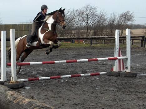 Pinto Exitta <3 R.I.P - Okay , sindsyg hest :P billede 14