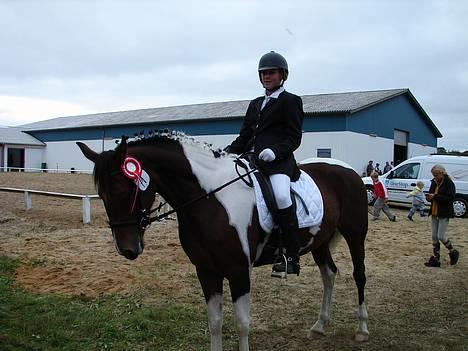 Pinto Exitta <3 R.I.P billede 20