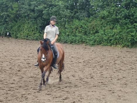 DSP Sir Oliver billede 19