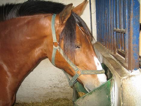 DSP Sir Oliver - mm det smager godt billede 20