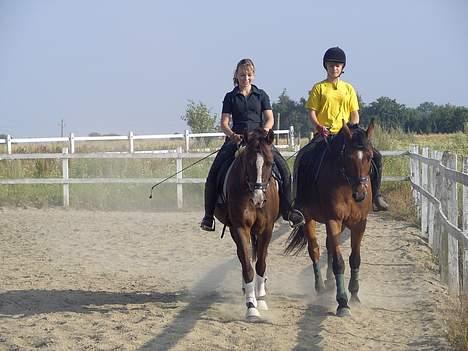 Dansk Varmblod Trobadur - Min Bedste Veninde Med Parino. Og jeg med Min Dejliiiqe Prins! 22 juli 2006 billede 8