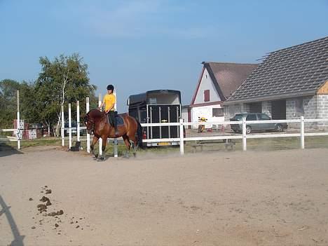 Dansk Varmblod Trobadur - Troubadur Og Jeg .. Taget den 22 juli 2006 billede 9