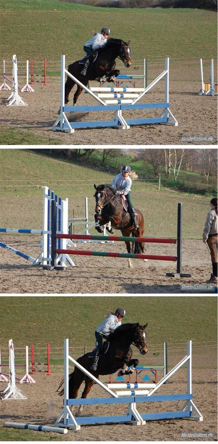 DSP Cassiopeia - d. 9/4 2009 foto: Annika Mørum billede 17