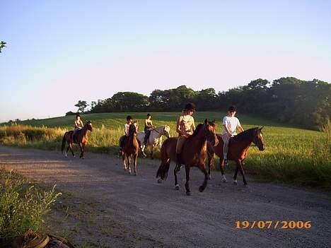 New Forest Starlight - Her er vi to der er forst.. og det er Chriis man kan se mest.. også mig ved siden af hende.. billede 6