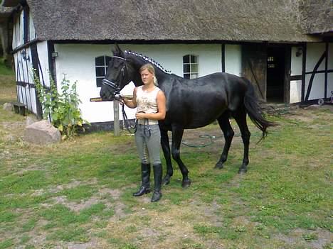 Oldenborg Lucinda -Solgt - nyt, fra den 23-7-o6 billede 10