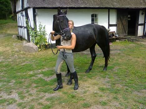 Oldenborg Lucinda -Solgt - den tosse... hun gad ikk lige stå model ;) billede 14