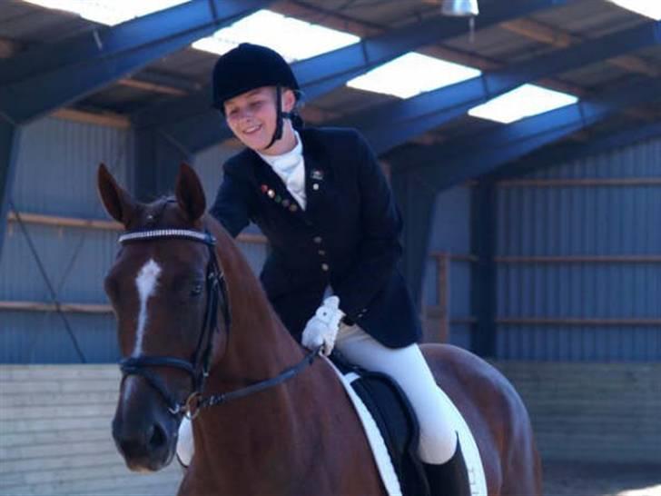 Hannoveraner Davina R.I.P <3 - Hér er vi MEGET glade, fordi vi bruger Loréalshampoo begge to, hvilket HELT sikkert forbedrer stævnepræstationerne :D billede 19