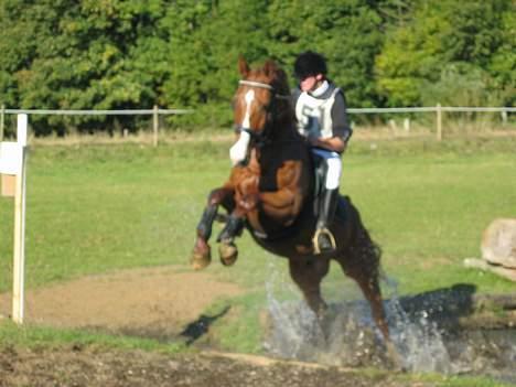 Dansk Varmblod Samurei - Op ad vandgraven ;D billede 13